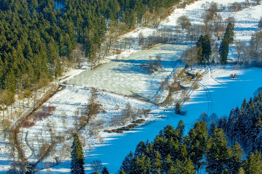 Rüthen aus der Vogelperspektive: Winterluftbild Uferbereiche der Teichanlagen zur Fischzucht - Biberteich in Rüthen im Bundesland Nordrhein-Westfalen