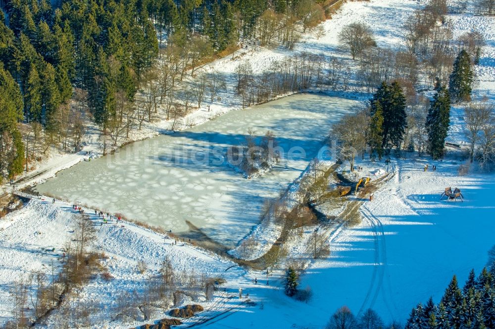 Luftbild Rüthen - Winterluftbild Uferbereiche der Teichanlagen zur Fischzucht - Biberteich in Rüthen im Bundesland Nordrhein-Westfalen