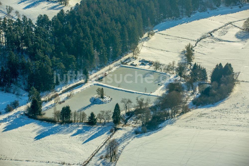 Rüthen aus der Vogelperspektive: Winterluftbild Uferbereiche der Teichanlagen zur Fischzucht-, Fischteiche am Kitzelbachweg in Rüthen im Bundesland Nordrhein-Westfalen