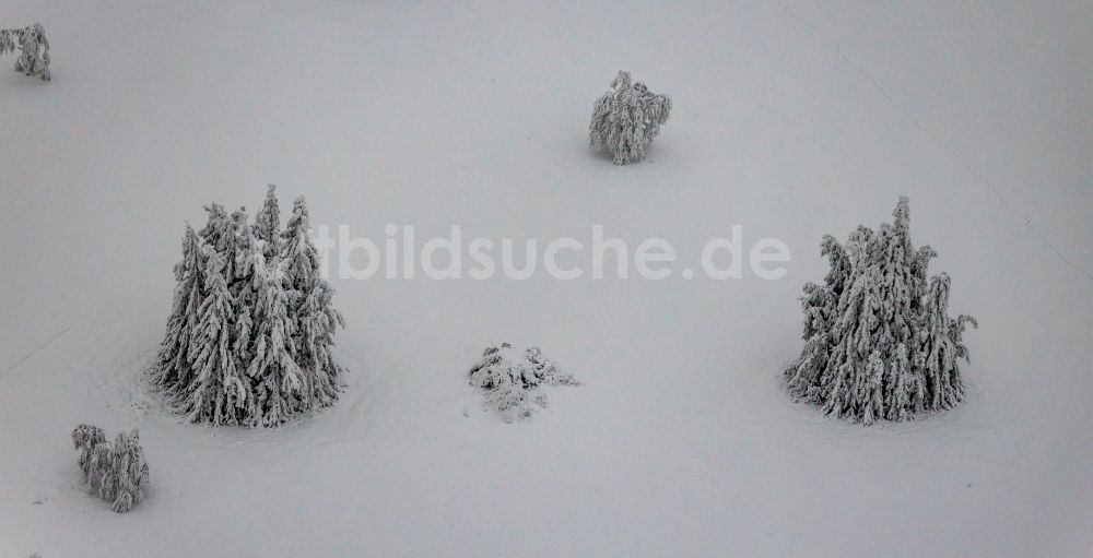 Luftaufnahme Winterberg - Winterluftbild Vereinzelt stehende Nadelbäume auf dem Kahlen Asten in Winterberg im Bundesland Nordrhein-Westfalen, Deutschland