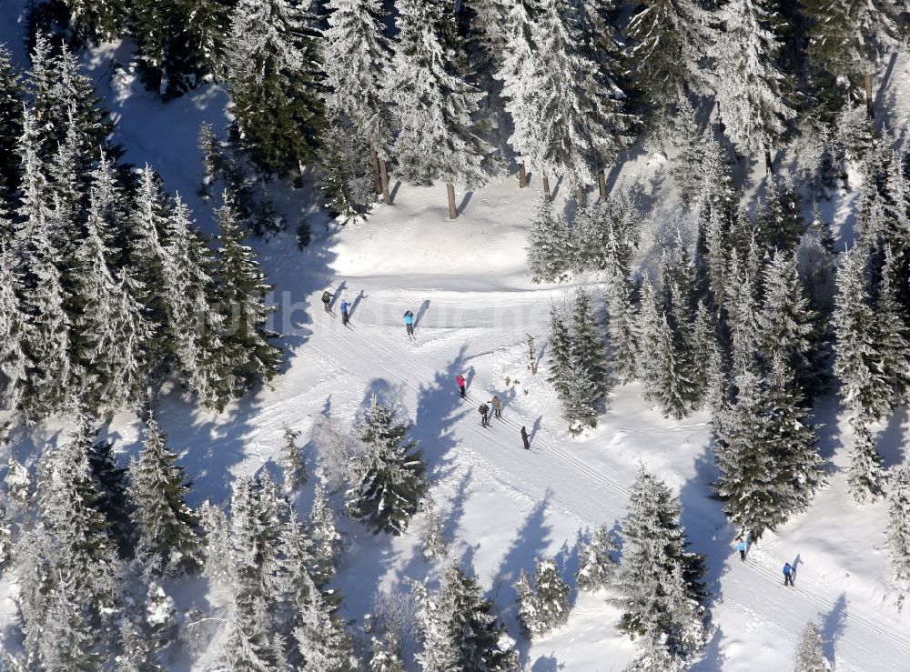 Luftaufnahme Masserberg - Wintersportler und Wanderer in den Loipen bei Masserberg