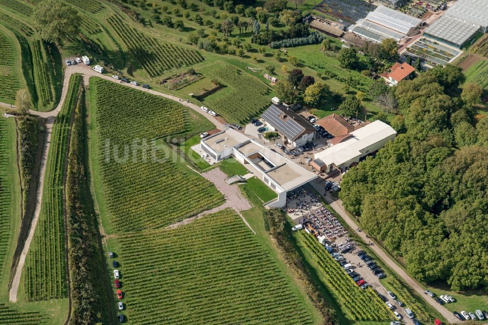 Ettenheim von oben - Winzer Fest in der Weinbergs- Landschaft der Winzer- Gebiete in Ettenheim im Bundesland Baden-Württemberg, Deutschland