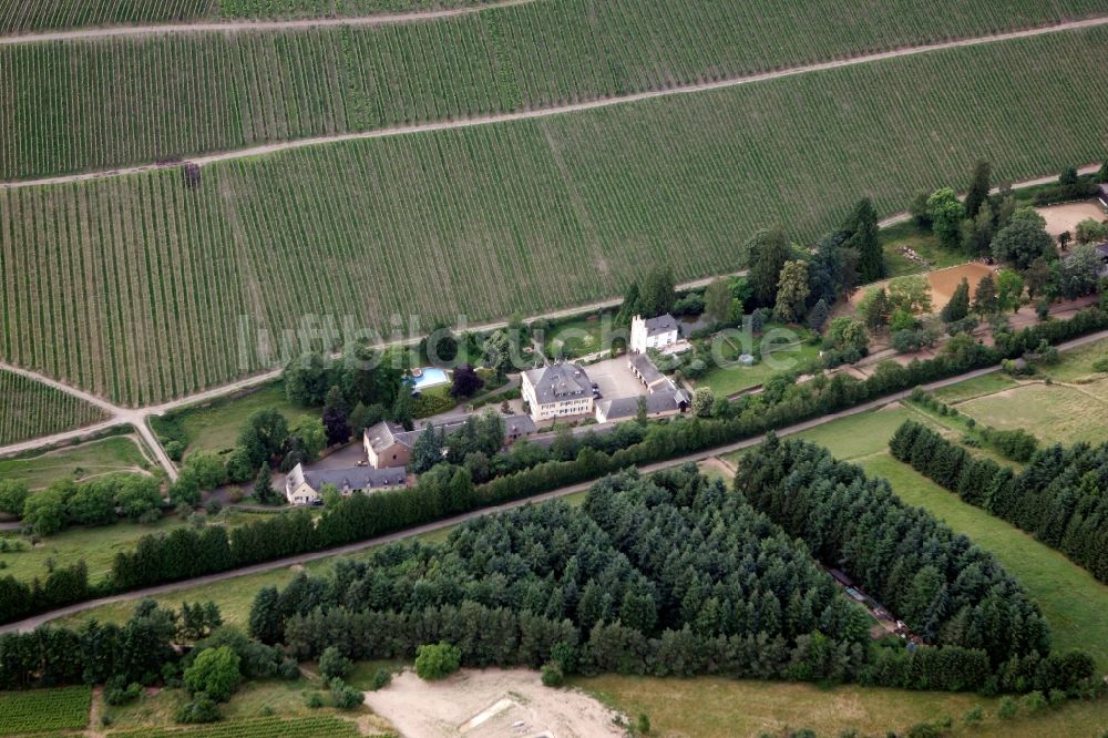 Trier Eitelsbach von oben - Winzerbertriebe an den Weinbergen am Stadtrand von Trier Eitelsbach im Bundesland Rheinland-Pfalz