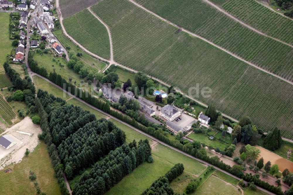 Trier Eitelsbach aus der Vogelperspektive: Winzerbertriebe an den Weinbergen am Stadtrand von Trier Eitelsbach im Bundesland Rheinland-Pfalz