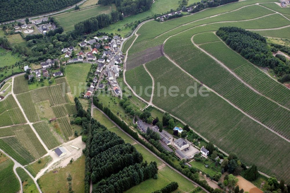 Luftbild Trier Eitelsbach - Winzerbertriebe an den Weinbergen am Stadtrand von Trier Eitelsbach im Bundesland Rheinland-Pfalz