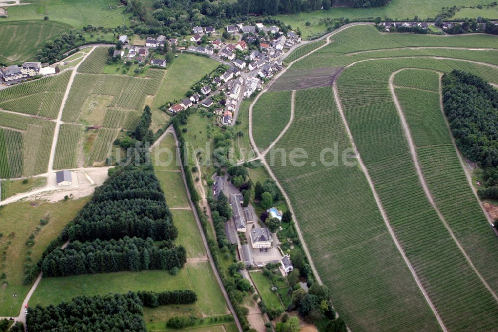 Luftaufnahme Trier Eitelsbach - Winzerbertriebe an den Weinbergen am Stadtrand von Trier Eitelsbach im Bundesland Rheinland-Pfalz