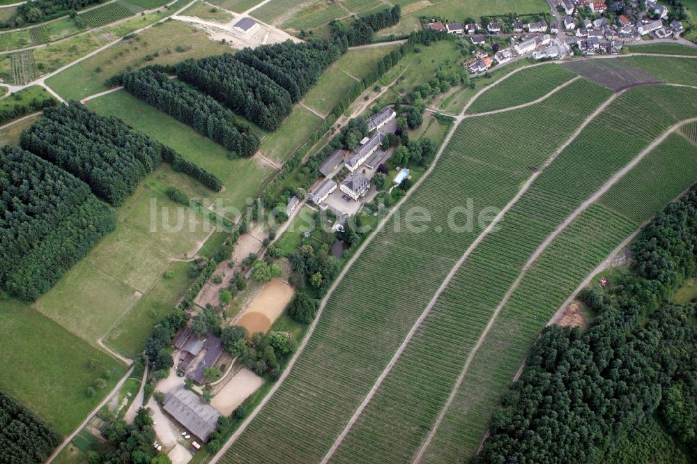 Trier Eitelsbach von oben - Winzerbertriebe an den Weinbergen am Stadtrand von Trier Eitelsbach im Bundesland Rheinland-Pfalz