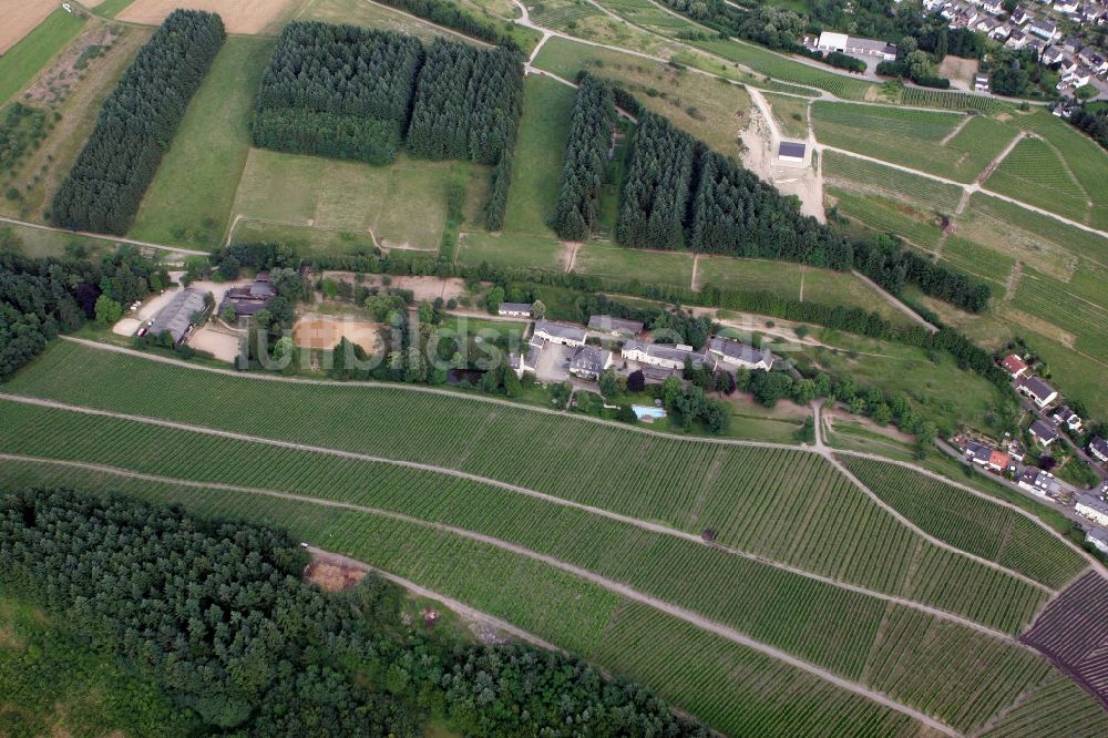 Luftbild Trier Eitelsbach - Winzerbertriebe an den Weinbergen am Stadtrand von Trier Eitelsbach im Bundesland Rheinland-Pfalz