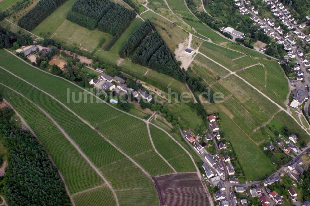 Luftaufnahme Trier Eitelsbach - Winzerbertriebe an den Weinbergen am Stadtrand von Trier Eitelsbach im Bundesland Rheinland-Pfalz