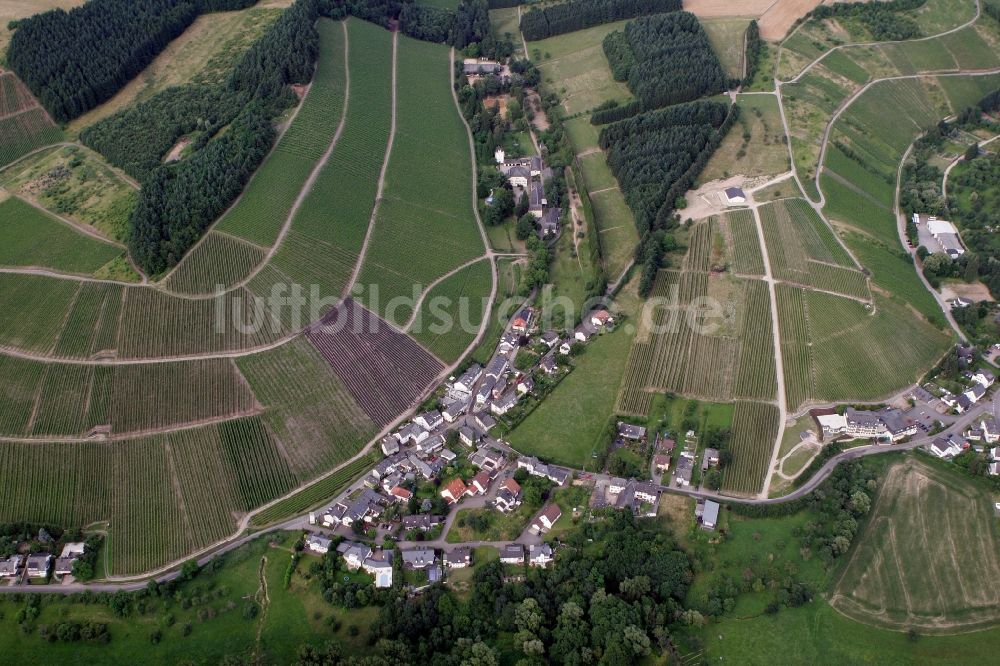 Trier Eitelsbach von oben - Winzerbertriebe an den Weinbergen am Stadtrand von Trier Eitelsbach im Bundesland Rheinland-Pfalz