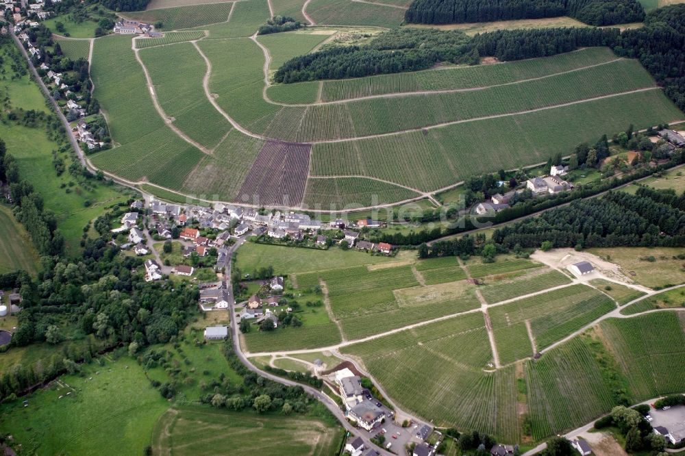 Trier Eitelsbach aus der Vogelperspektive: Winzerbertriebe an den Weinbergen am Stadtrand von Trier Eitelsbach im Bundesland Rheinland-Pfalz