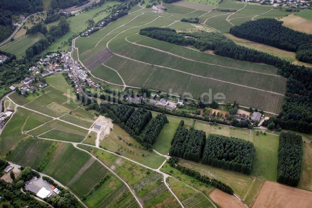 Luftbild Trier Eitelsbach - Winzerbertriebe an den Weinbergen am Stadtrand von Trier Eitelsbach im Bundesland Rheinland-Pfalz