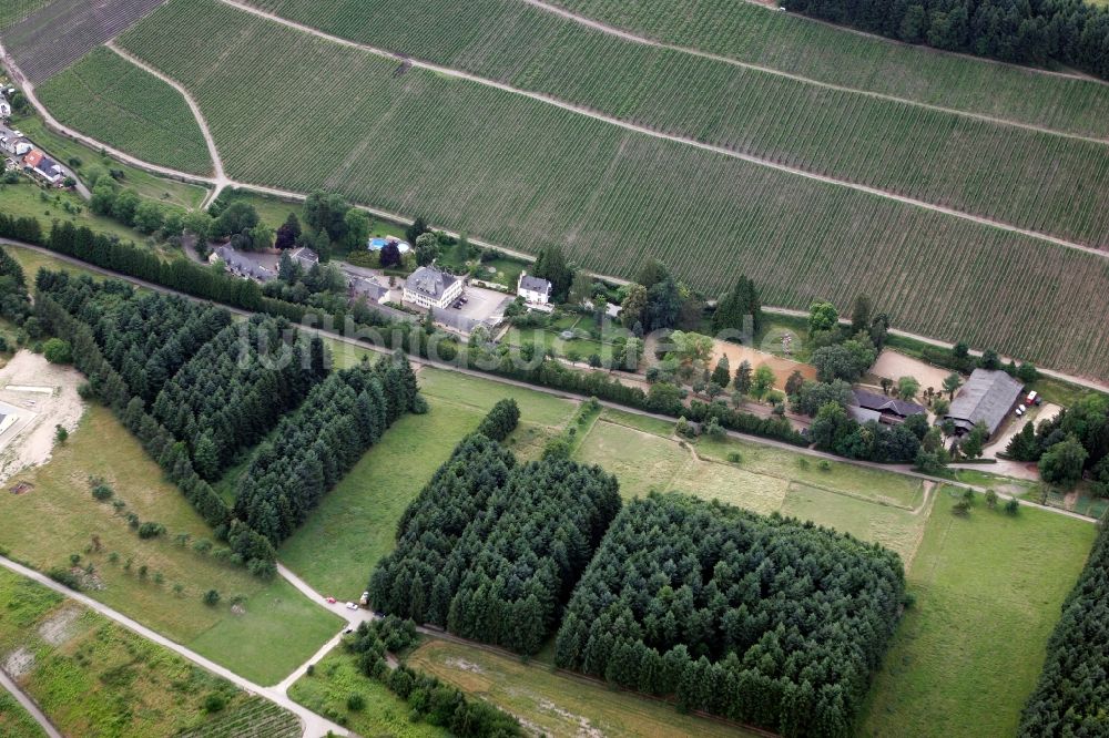 Luftaufnahme Trier Eitelsbach - Winzerbertriebe an den Weinbergen am Stadtrand von Trier Eitelsbach im Bundesland Rheinland-Pfalz