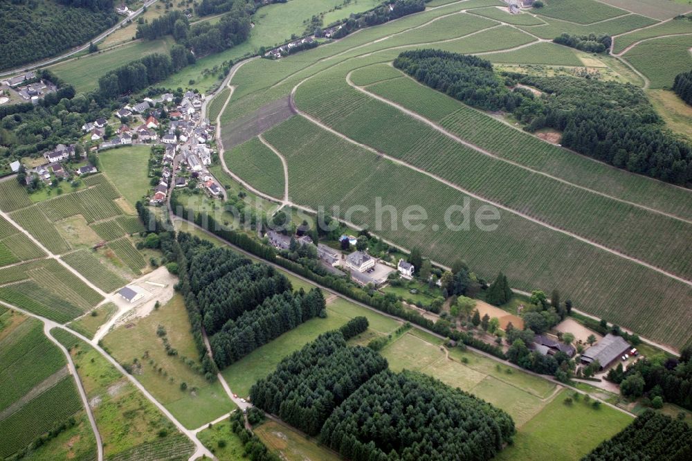 Trier Eitelsbach von oben - Winzerbertriebe an den Weinbergen am Stadtrand von Trier Eitelsbach im Bundesland Rheinland-Pfalz