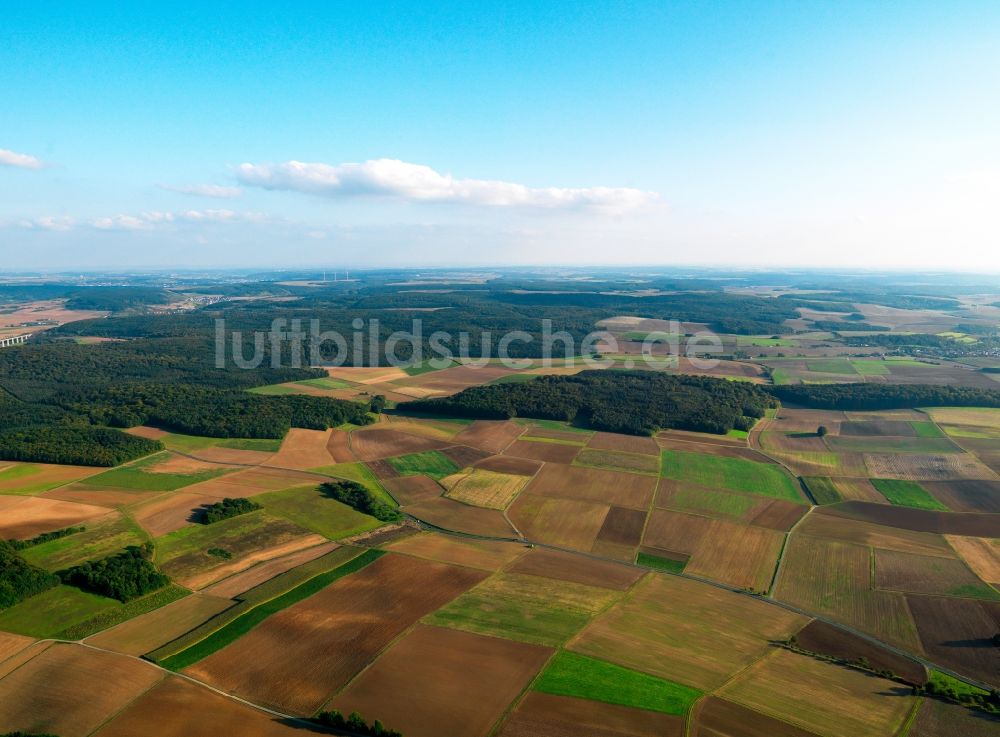 Zellingen von oben - Wälder und landwirtschaftliche Felder in Zellingen im Bundesland Bayern