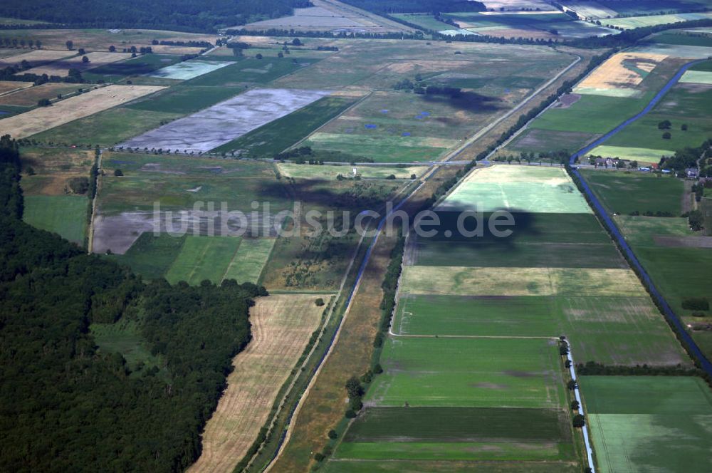 Luftaufnahme Lübbow - Wälder in der Nähe von Lübbow