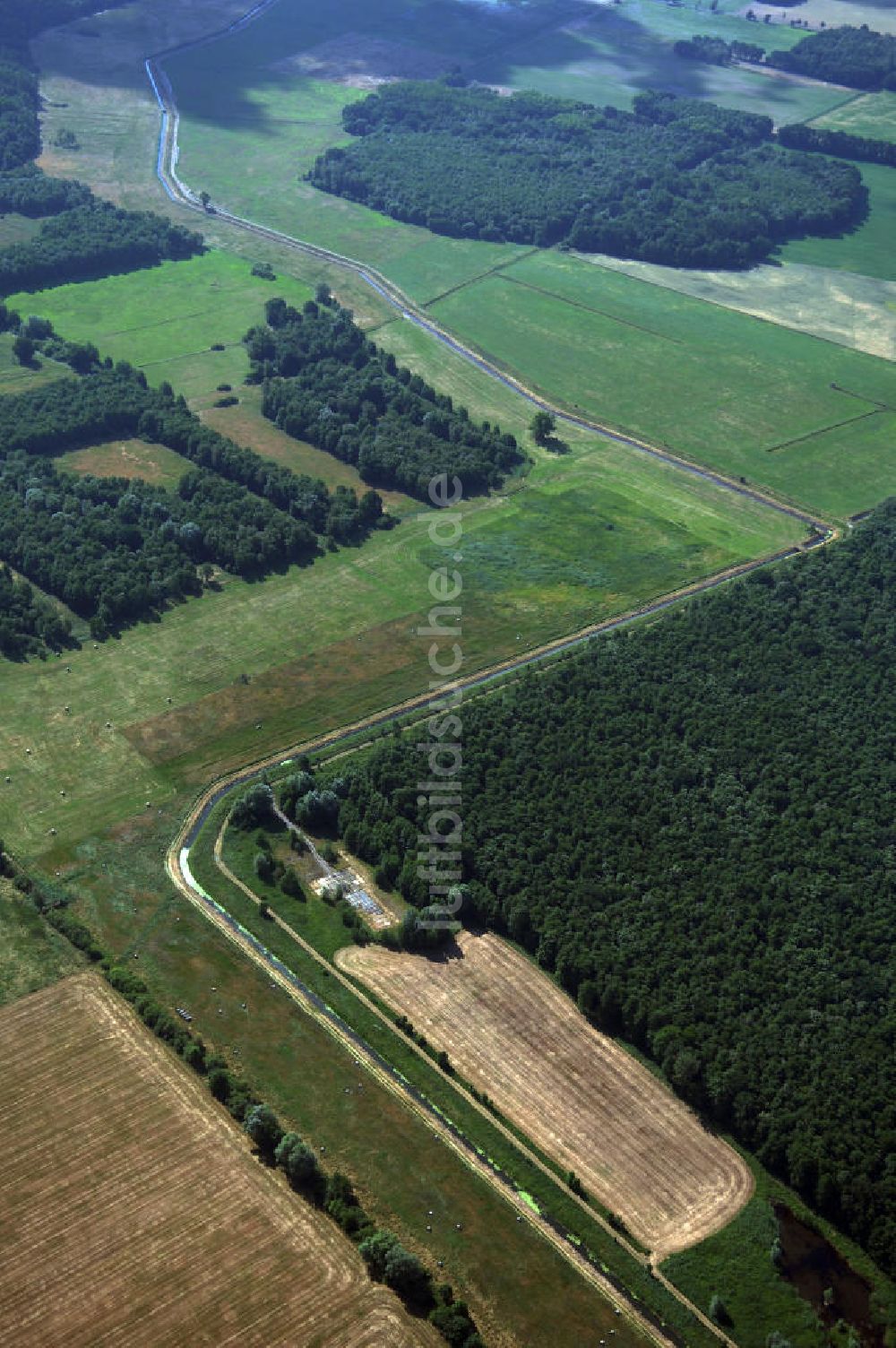 Lübbow aus der Vogelperspektive: Wälder in der Nähe von Lübbow