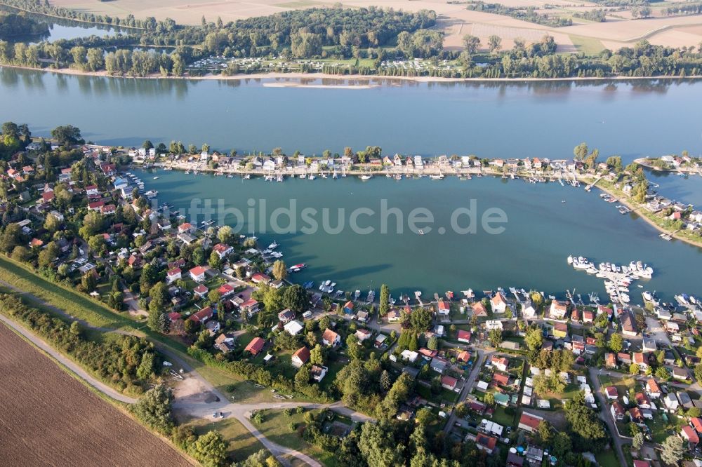 Luftbild Eich - Wochenendhausgebiet und Uferbereiche Eicher See am Rhein im Ortsteil Eicher See in Eich im Bundesland Rheinland-Pfalz