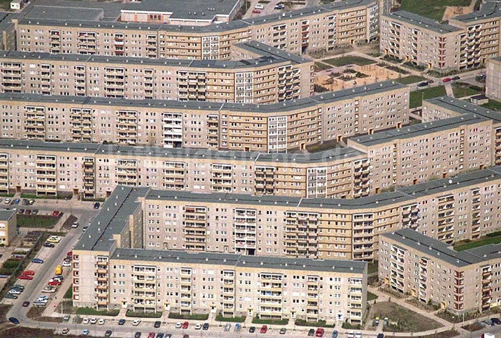 Berlin-Hohenschönhausen von oben - Wohnbauten (von vorn nach hinten) Passauer Str., Wariner Ring, Biesenbrower Ring und Weiße Straße in Hohenschönhausen.