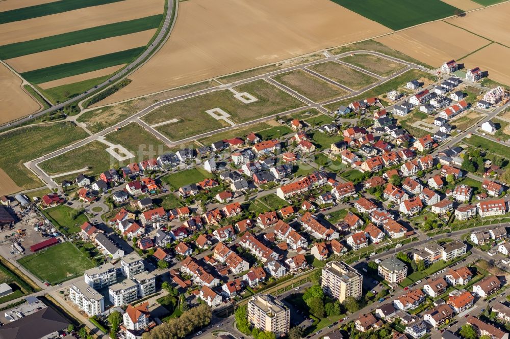 Luftaufnahme Endingen am Kaiserstuhl - Wohngebiet einer Einfamilienhaus- Siedlung Andlaustraße - Luisenstraße - Einsiedelnstraße in Endingen am Kaiserstuhl im Bundesland Baden-Württemberg