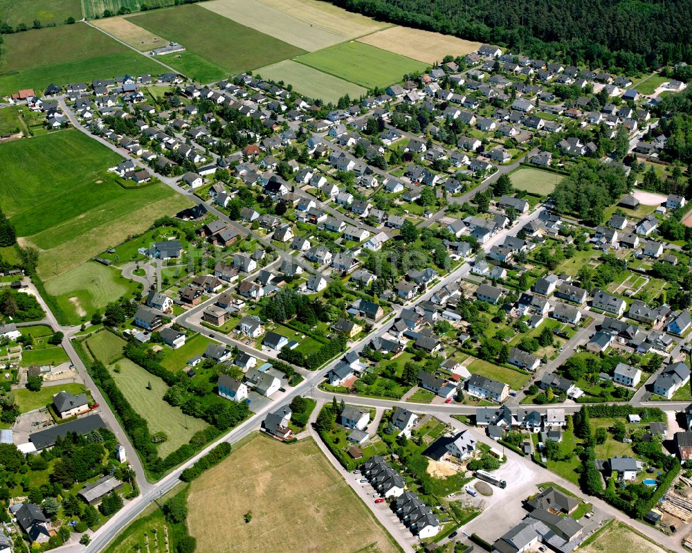 Luftbild Argenthal - Wohngebiet einer Einfamilienhaus- Siedlung in Argenthal im Bundesland Rheinland-Pfalz, Deutschland