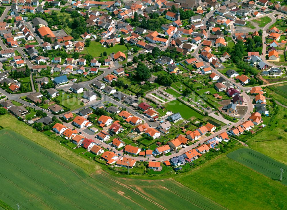 Luftaufnahme Bahnhof Langmeil - Wohngebiet einer Einfamilienhaus- Siedlung in Bahnhof Langmeil im Bundesland Rheinland-Pfalz, Deutschland