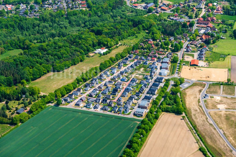 Luftaufnahme Büchen - Wohngebiet einer Einfamilienhaus- Siedlung in Büchen im Bundesland Schleswig-Holstein, Deutschland