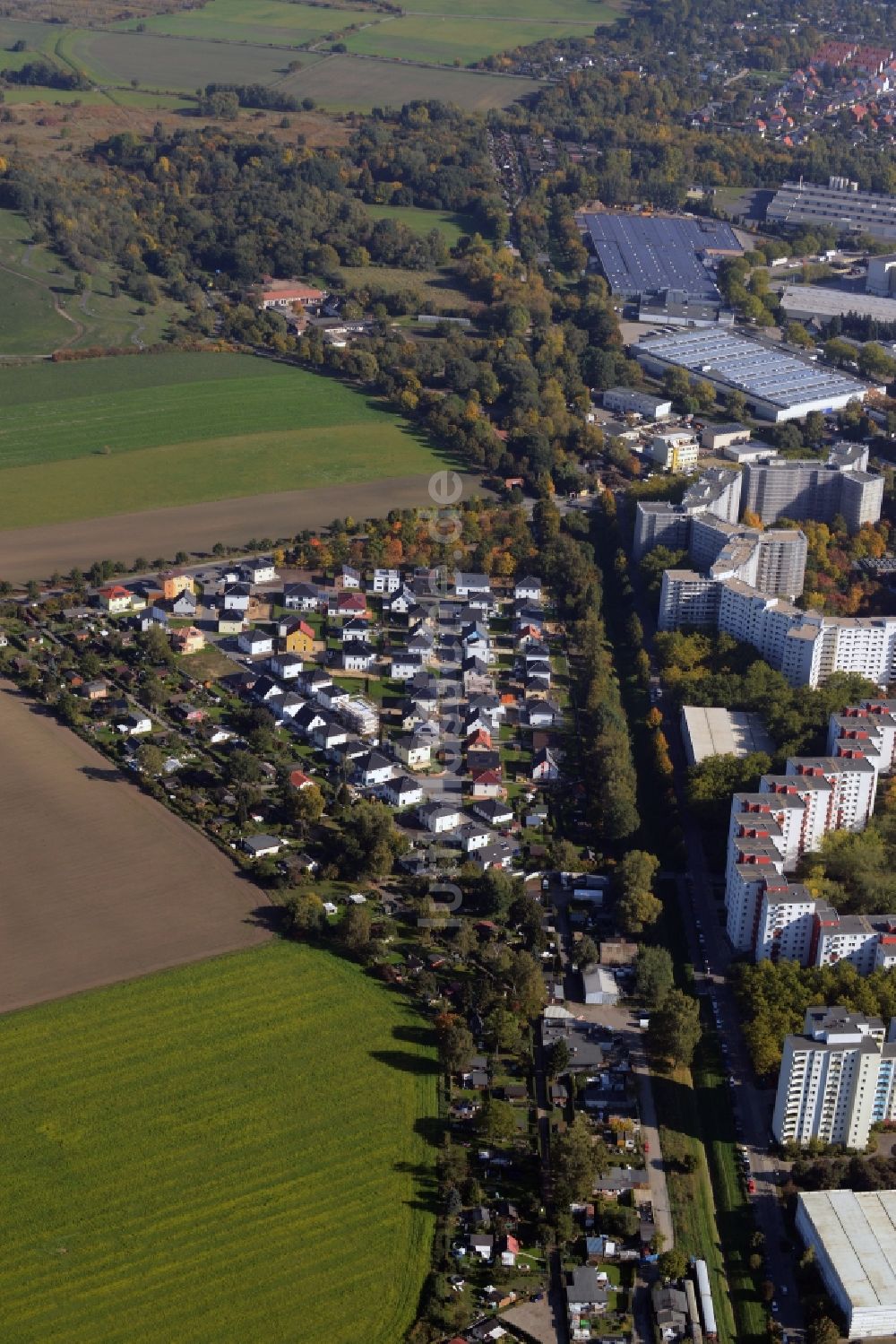 Berlin von oben - Wohngebiet einer Einfamilienhaus- Siedlung in Berlin