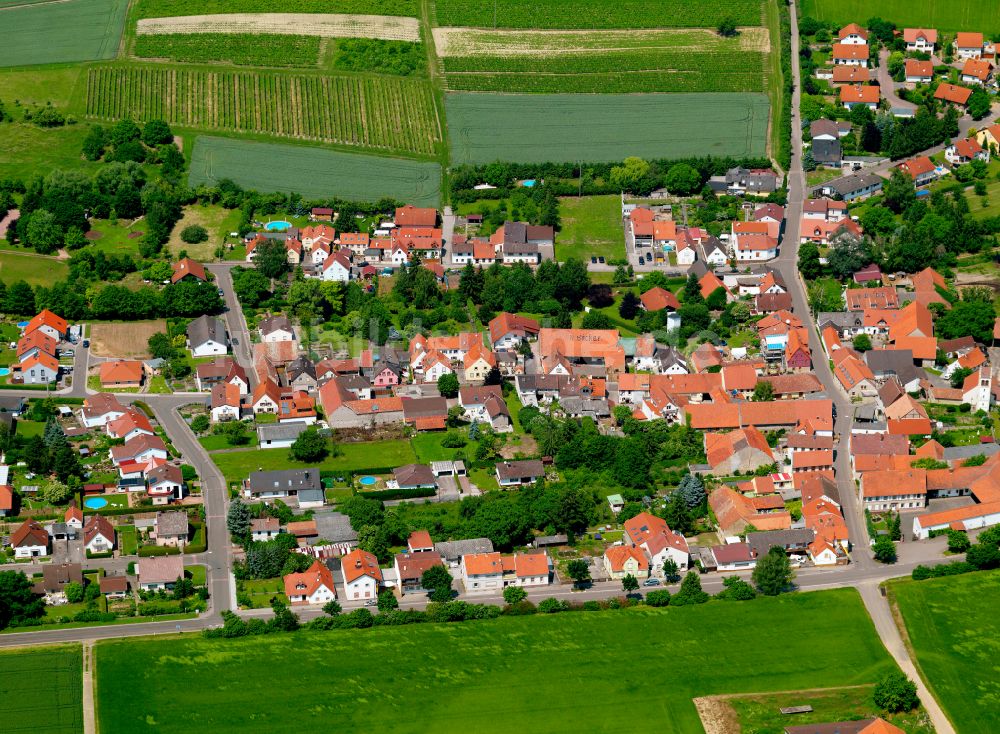 Bubenheim von oben - Wohngebiet einer Einfamilienhaus- Siedlung in Bubenheim im Bundesland Rheinland-Pfalz, Deutschland