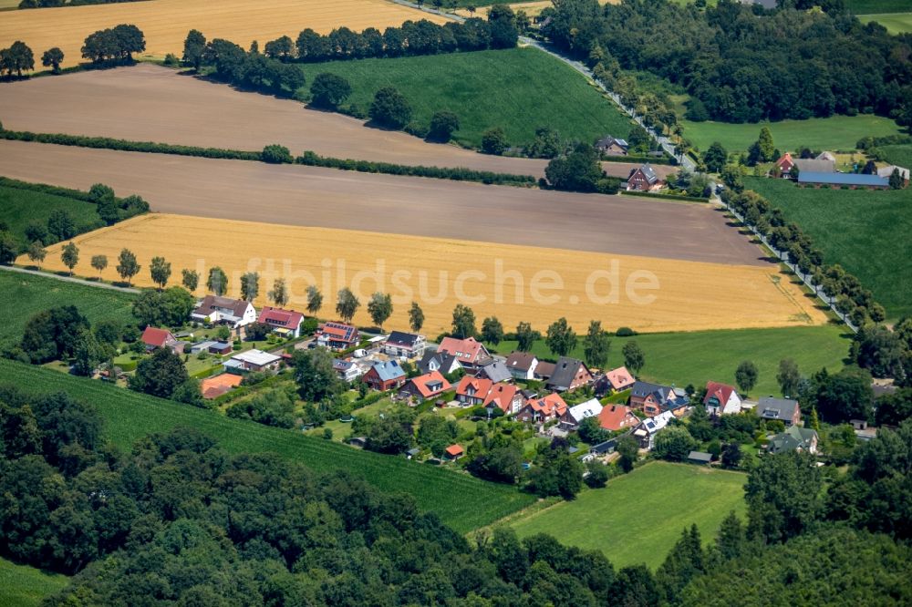 Albersloh von oben - Wohngebiet einer Einfamilienhaus- Siedlung entlang der Backhausstraße in Albersloh im Bundesland Nordrhein-Westfalen, Deutschland