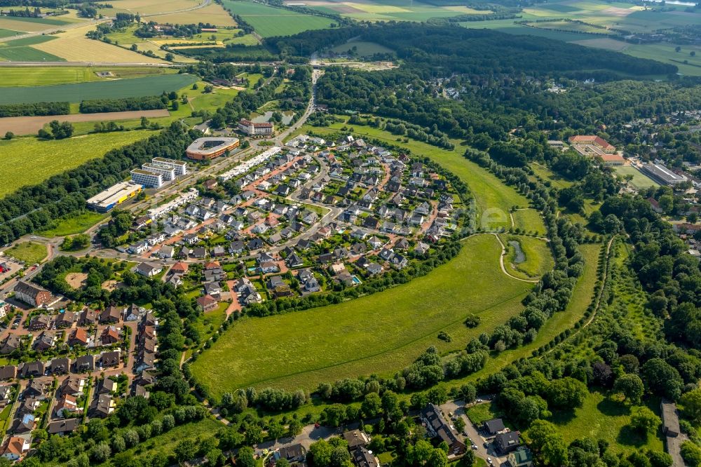 Duisburg von oben - Wohngebiet einer Einfamilienhaus- Siedlung entlang der Heinz-Trökes-Straße - Johannes-Molzahn-Straße in Duisburg im Bundesland Nordrhein-Westfalen, Deutschland