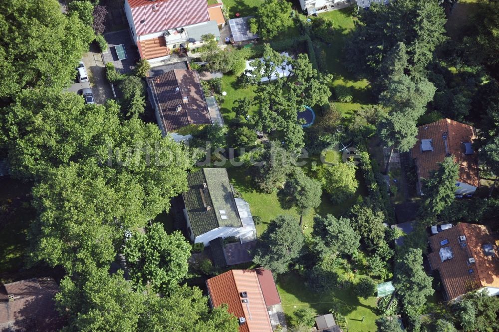 Luftbild Berlin - Wohngebiet einer Einfamilienhaus- Siedlung entlang der Platanenstraße im Ortsteil Niederschönhausen in Berlin, Deutschland