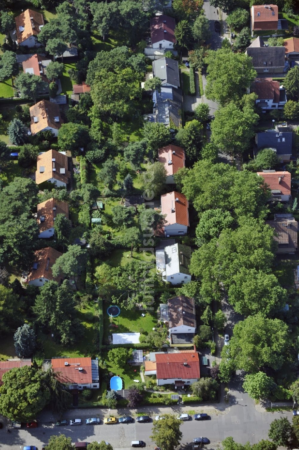 Berlin von oben - Wohngebiet einer Einfamilienhaus- Siedlung entlang der Platanenstraße im Ortsteil Niederschönhausen in Berlin, Deutschland