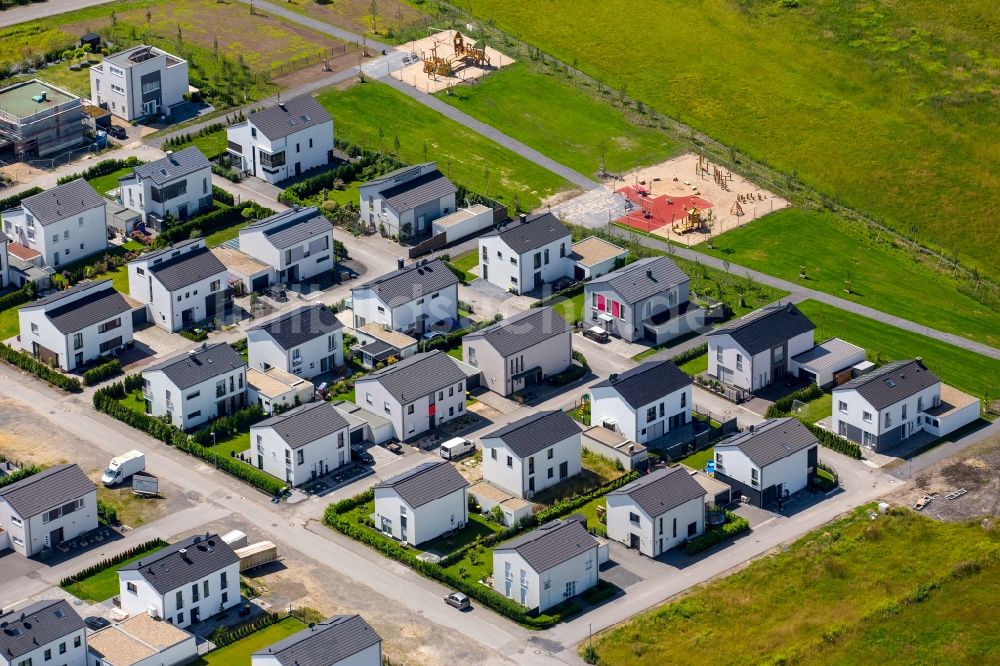 Luftbild Gelsenkirchen - Wohngebiet einer Einfamilienhaus- Siedlung in Gelsenkirchen im Bundesland Nordrhein-Westfalen