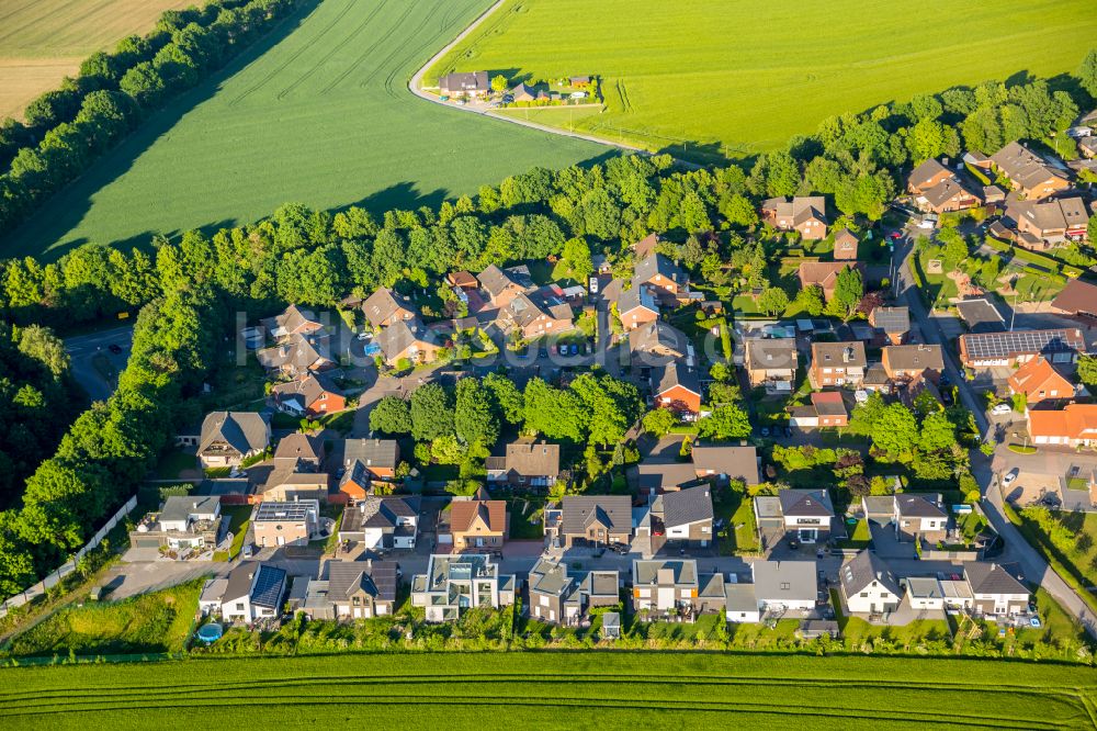 Horst von oben - Wohngebiet einer Einfamilienhaus- Siedlung in Horst im Bundesland Nordrhein-Westfalen, Deutschland