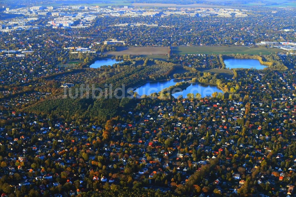 Berlin von oben - Wohngebiet einer Einfamilienhaus- Siedlung Kaulsdorf - Mahlsdorf in Berlin, Deutschland