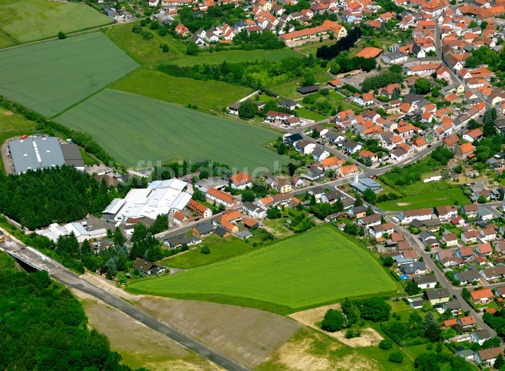 Kerzenheim von oben - Wohngebiet einer Einfamilienhaus- Siedlung in Kerzenheim im Bundesland Rheinland-Pfalz, Deutschland