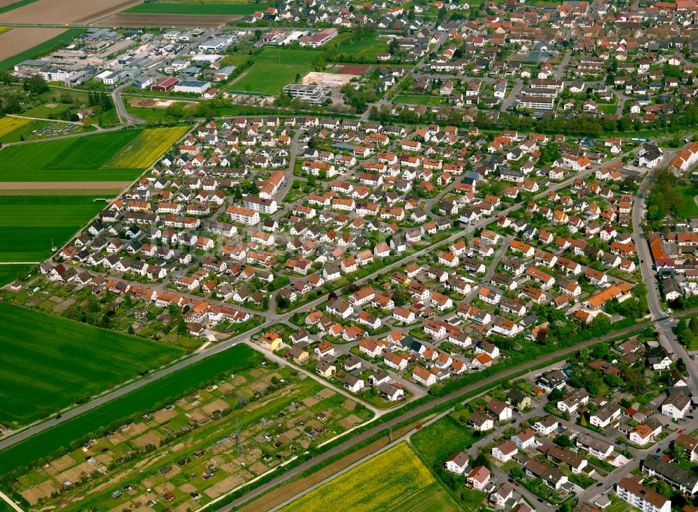 Langenau von oben - Wohngebiet einer Einfamilienhaus- Siedlung in Langenau im Bundesland Baden-Württemberg, Deutschland