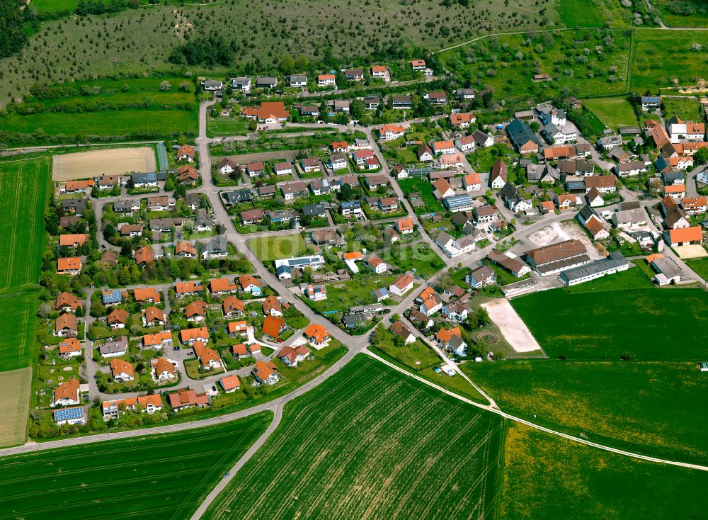 Langenau aus der Vogelperspektive: Wohngebiet einer Einfamilienhaus- Siedlung in Langenau im Bundesland Baden-Württemberg, Deutschland