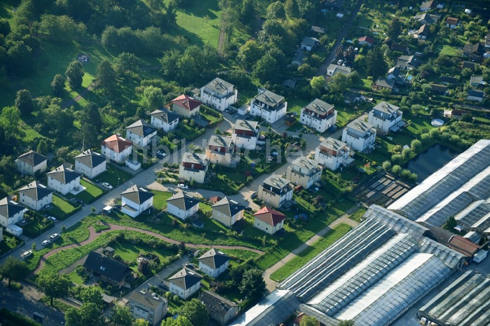 Berlin von oben - Wohngebiet einer Einfamilienhaus- Siedlung An der Neumark in Berlin, Deutschland