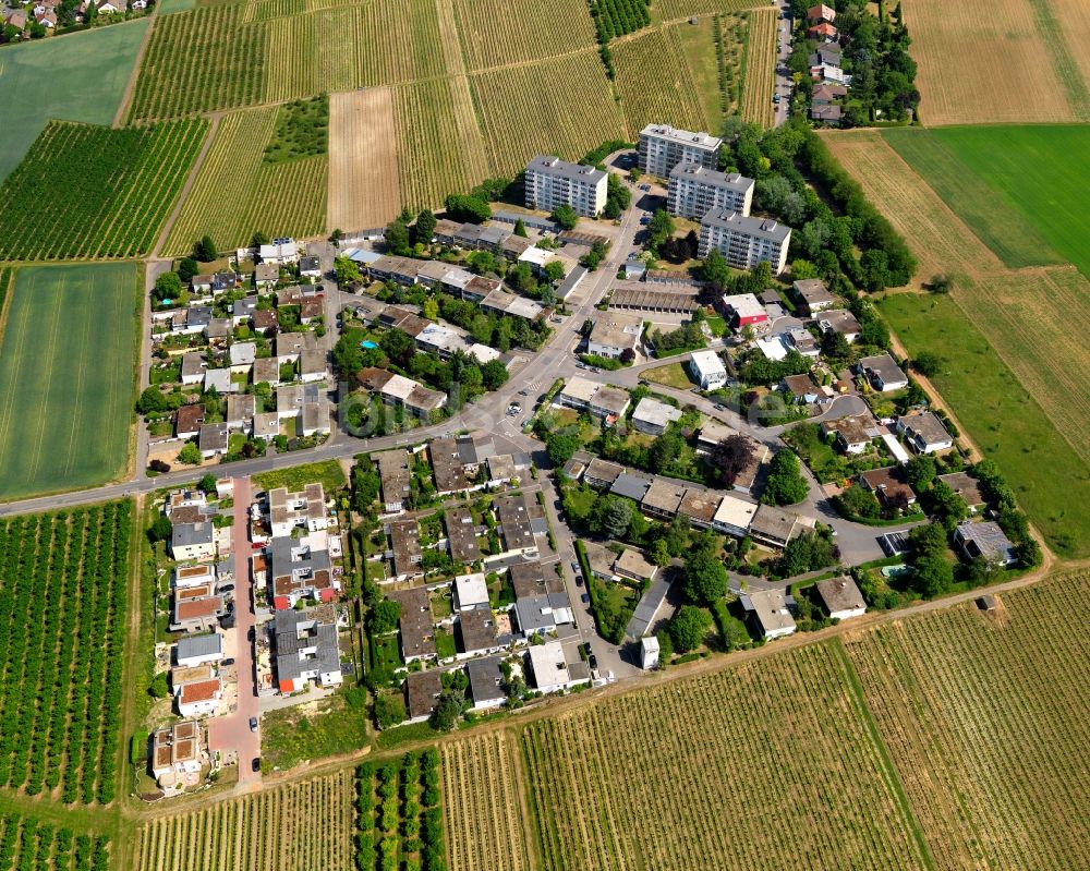 Nieder-Olm aus der Vogelperspektive: Wohngebiet einer Einfamilienhaus- Siedlung in Nieder-Olm im Bundesland Rheinland-Pfalz