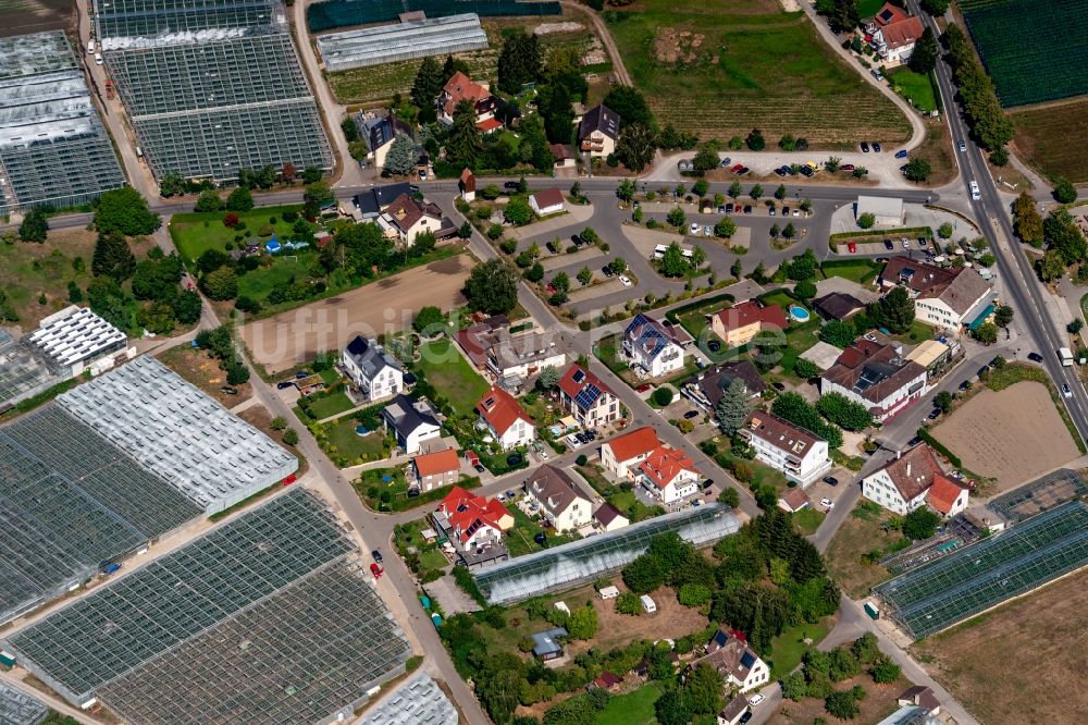 Luftbild Reichenau - Wohngebiet einer Einfamilienhaus- Siedlung Oberzeller Straße - Pirminstraße in Reichenau im Bundesland Baden-Württemberg, Deutschland