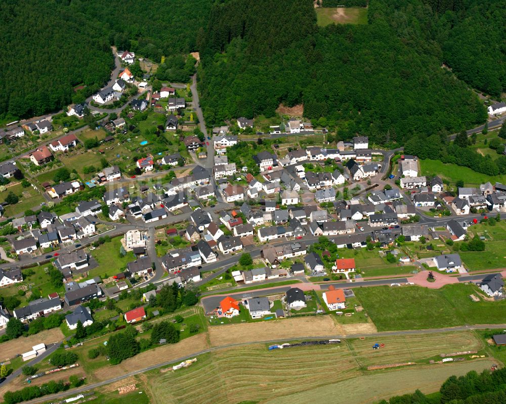 Luftaufnahme Rittershausen - Wohngebiet einer Einfamilienhaus- Siedlung in Rittershausen im Bundesland Hessen, Deutschland