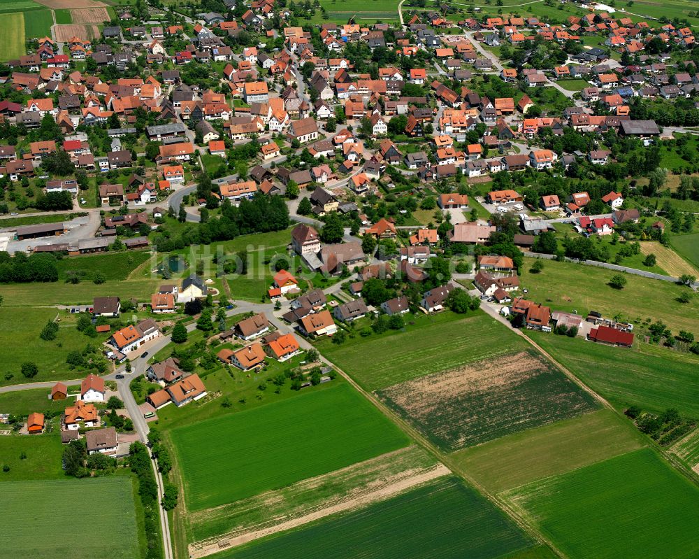 Rotfelden aus der Vogelperspektive: Wohngebiet einer Einfamilienhaus- Siedlung in Rotfelden im Bundesland Baden-Württemberg, Deutschland