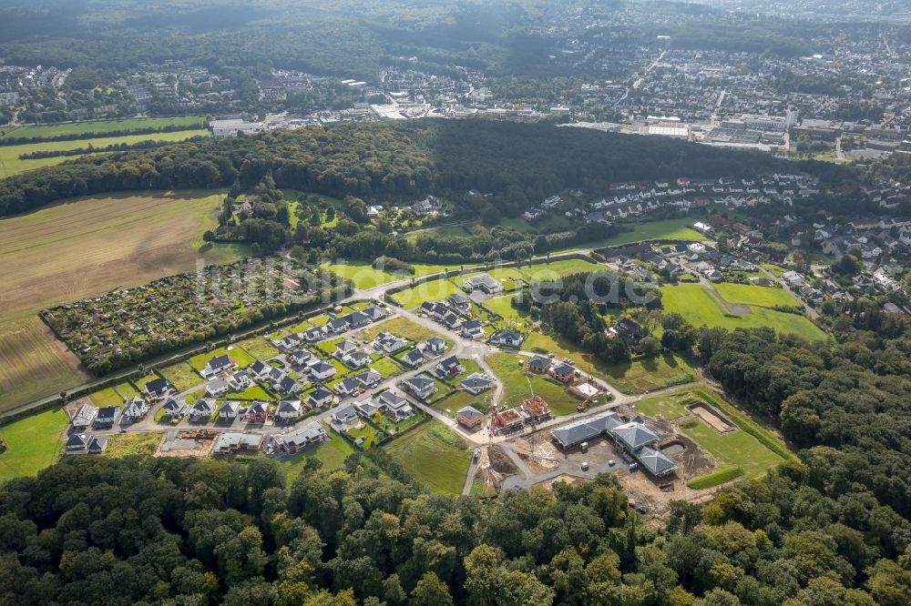 Luftbild Arnsberg - Wohngebiet einer Einfamilienhaus- Siedlung rund um Zum Dollberg und Im Redde in Arnsberg im Bundesland Nordrhein-Westfalen, Deutschland