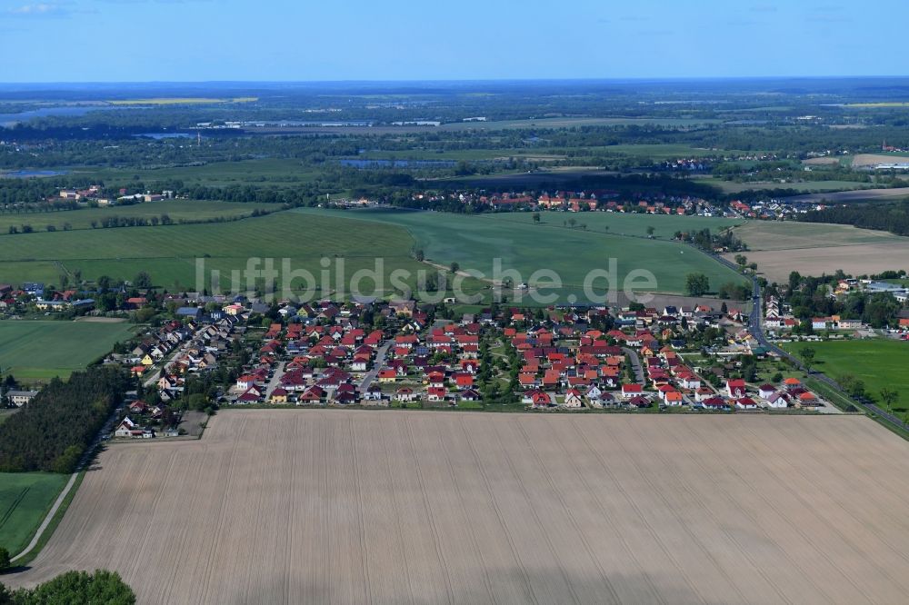 Brandenburg an der Havel aus der Vogelperspektive: Wohngebiet einer Einfamilienhaus- Siedlung am Schmerzker Ring in Brandenburg an der Havel im Bundesland Brandenburg, Deutschland