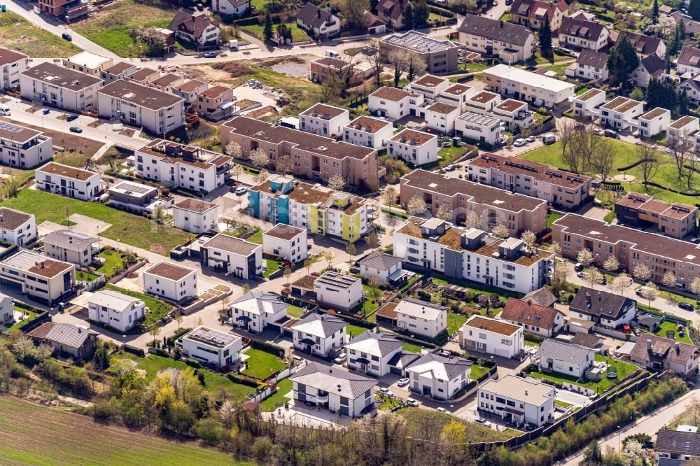 Luftbild Lahr/Schwarzwald - Wohngebiet einer Einfamilienhaus- Siedlung Stadtteil Hosenmatten in Burkheim in Lahr/Schwarzwald im Bundesland Baden-Württemberg, Deutschland