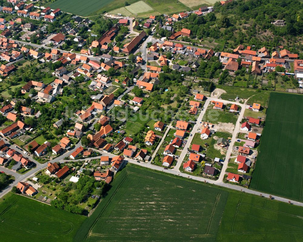 Luftaufnahme Stapelburg - Wohngebiet einer Einfamilienhaus- Siedlung in Stapelburg im Bundesland Sachsen-Anhalt, Deutschland