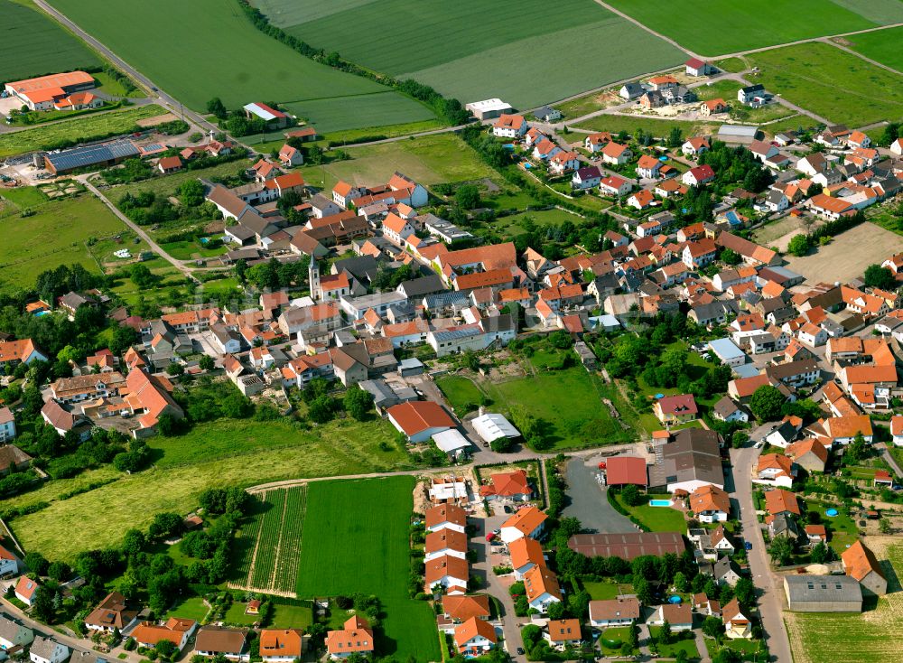 Luftaufnahme Stetten - Wohngebiet einer Einfamilienhaus- Siedlung in Stetten im Bundesland Rheinland-Pfalz, Deutschland