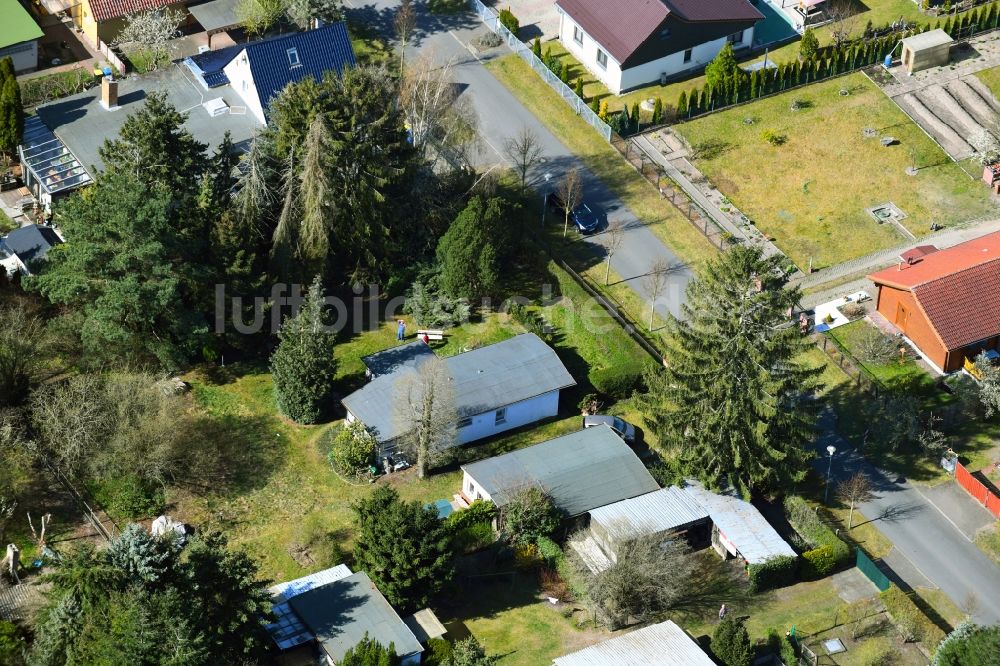 Gorinsee aus der Vogelperspektive: Wohngebiet einer Einfamilienhaus- Siedlung Str. zum See - Ahornweg in Gorinsee im Bundesland Brandenburg, Deutschland